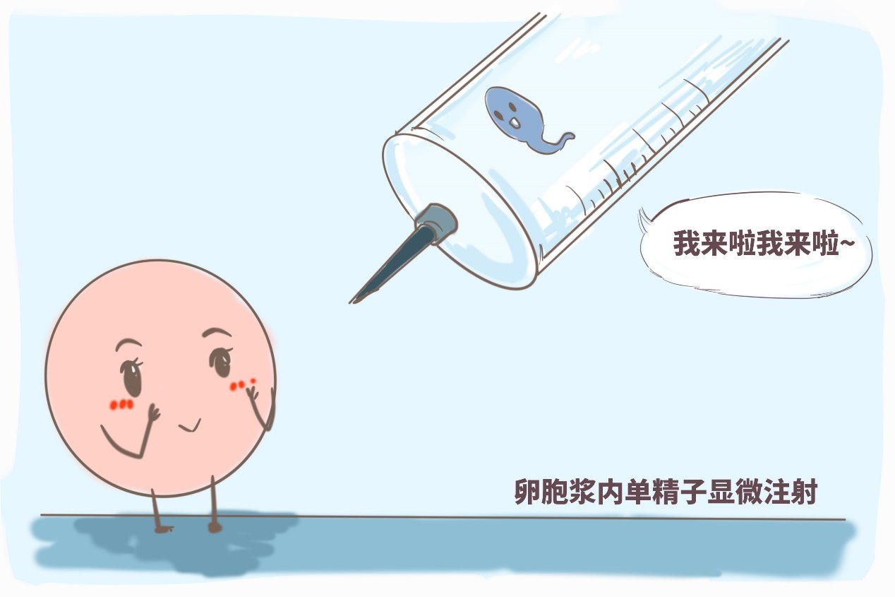 2025年预产期计算器 孕期预产期在线计算器